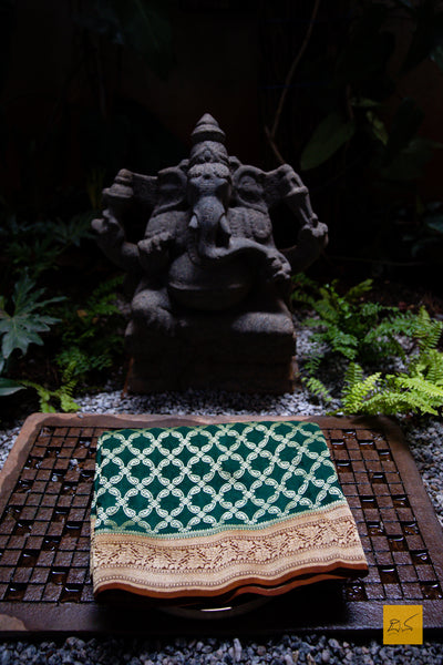 WE are a part of NATURE! A perfect banarasi georgette saree in shades of green and brown, for this wedding and festive season. This sari with zari jaal goes well with a gajra.