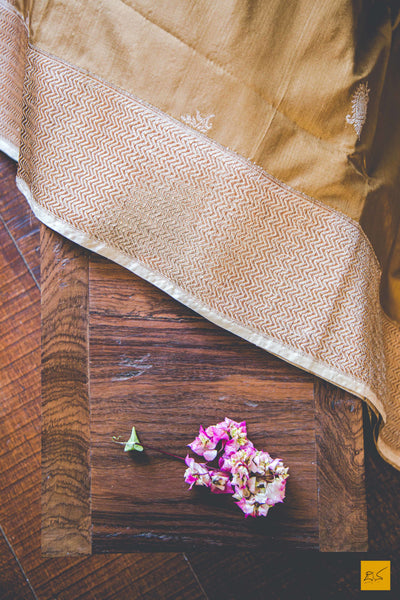 A beautiful katan silk banarasi handwoven sari with a brown body. New trend of Banarasi Saree designs, Banarasi Saree for artists, art lovers, architects, saree lovers, Saree connoisseurs, musicians, dancers, doctors, Banarasi Katan silk saree, indian saree images, latest sarees with price, only saree images, new Banarasi saree design.