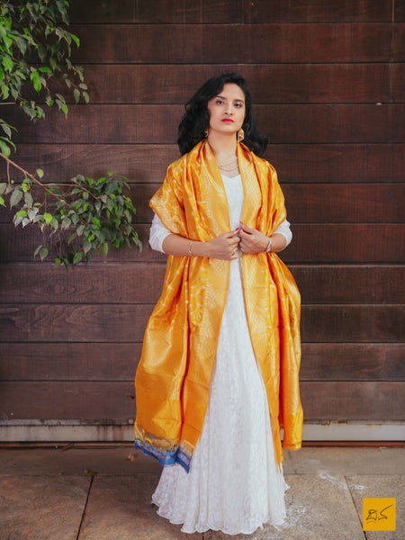 This is a beautiful banarasi katan silk dupatta with hints of meenakari. New trend of Banarasi designs, Banarasi for artists, art lovers, architects, dupatta lovers, dupatta connoisseurs, musicians, dancers, doctors, Banarasi Katan silk dupatta, indian dupatta images, latest dupatta with price, only dupatta images, new Banarasi dupatta design.