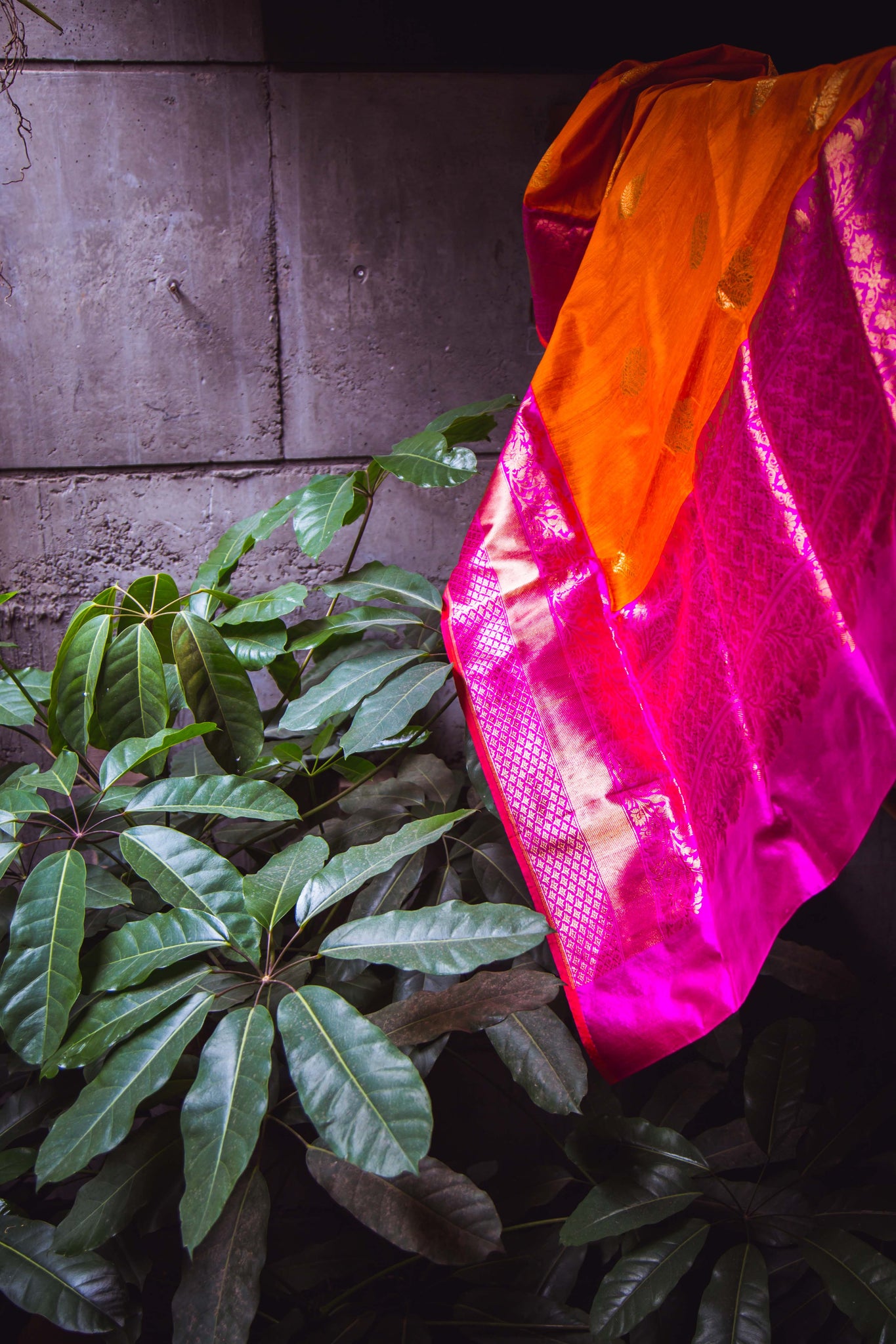 Orange - Pink Banarasi Silk Handwoven Saree