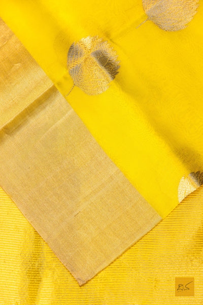 Mahadevi- Yellow Chanderi Pure Silk Handwoven Saree