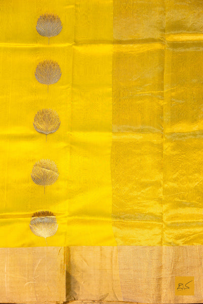 Mahadevi- Yellow Chanderi Pure Silk Handwoven Saree